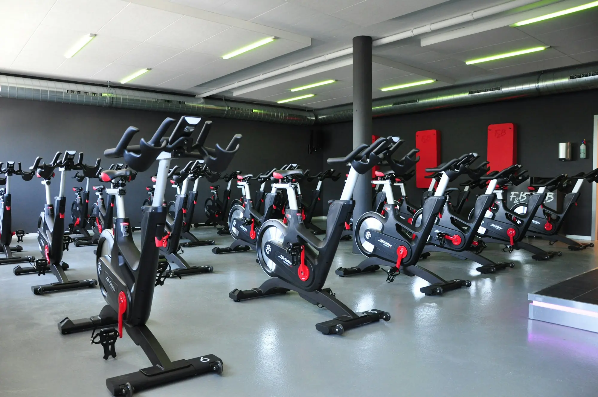 Spin bikes lined up in a studio